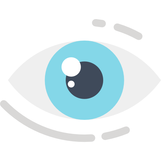 Our Vision